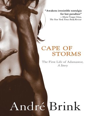 Cape of Storms - ebook